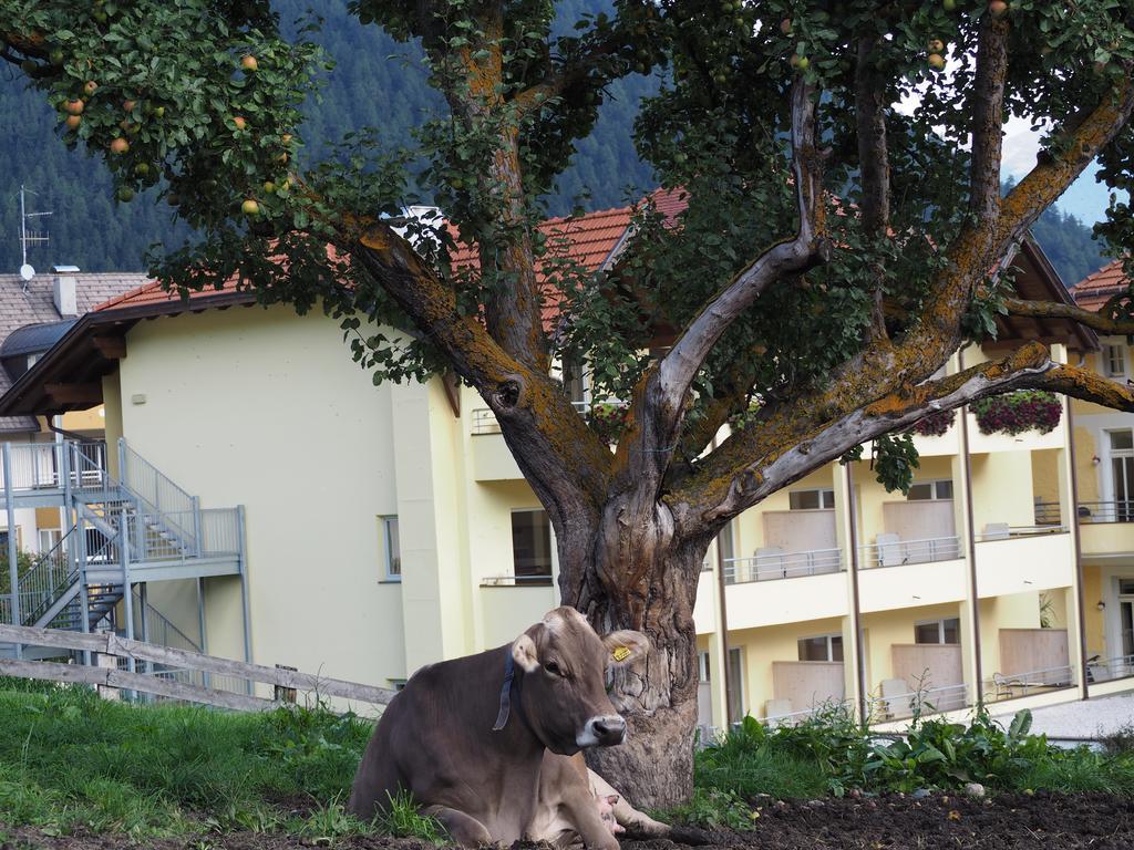 Obermairhof Villa Olang ภายนอก รูปภาพ