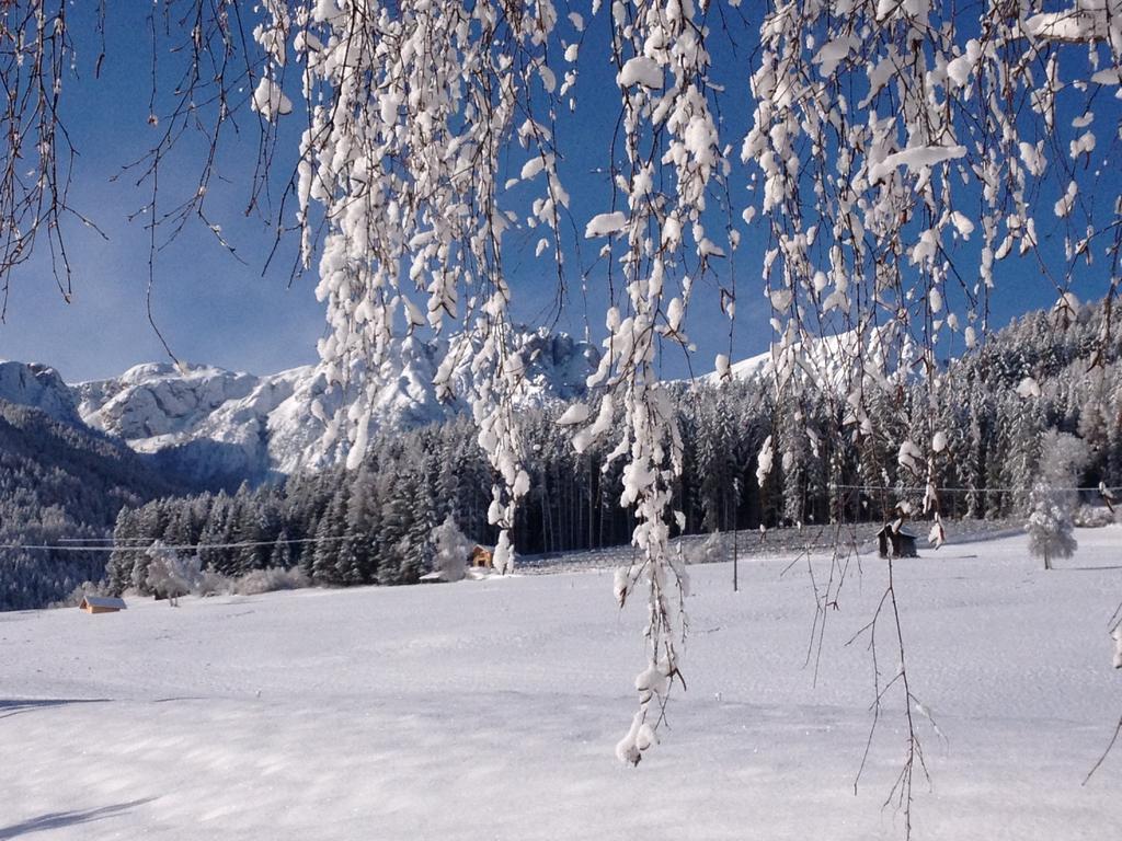 Obermairhof Villa Olang ภายนอก รูปภาพ